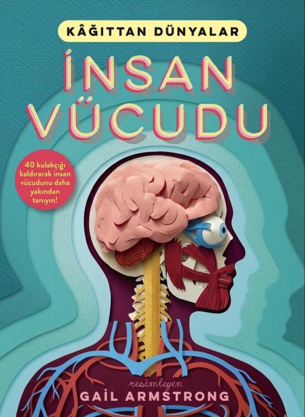 İnsan Vücudu  